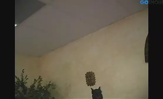 Eager Mouth Relishes Darkskinned Stallions Monstrous Cock